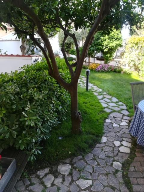 Candida'S House Alghero Zewnętrze zdjęcie